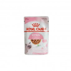 پوچ بچه گربه kitten رویال کنین